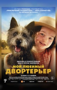 Мой любимый двортерьер