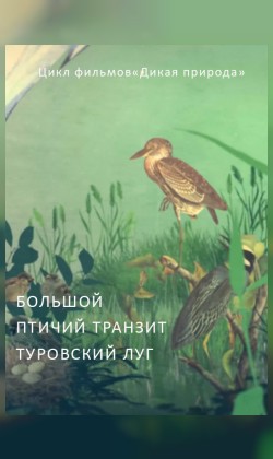Большой птичий транзит. Туровский луг (малый зал)