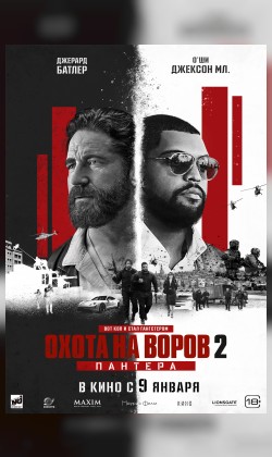 Охота на воров 2: Пантера