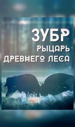 Зубр. Рыцарь древнего леса (малый зал)