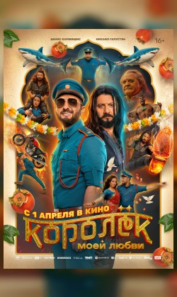 Королёк моей любви