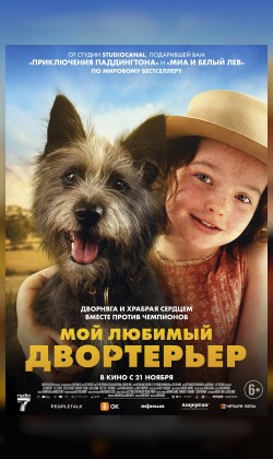 Мой любимый двортерьер