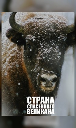 Страна спасенного великана (малый зал)