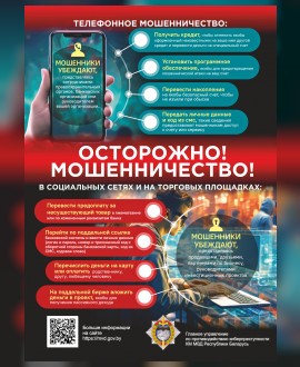 Противодействие киберпреступности.